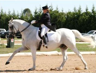 Jade Woodhead on APH Rodrigo :: Photo © Berni Saunders
