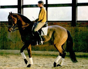 Ludwig Kühne training with Dolf Dietram Keller at Klosterhof Medingen