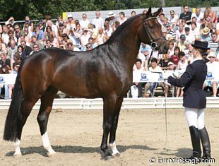 Maike Luhring with Fidertanz