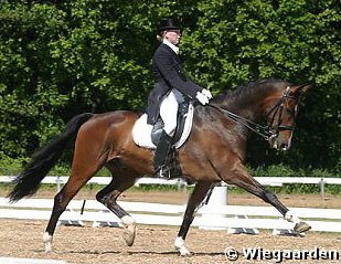 Bettina Pedersen on Bøgelunds Romeo :: Photo © Ridehesten.com