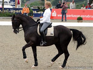 Anky van Grunsven on Salinero