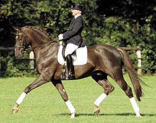 Royal Hit (by Royal Dance x Ramino x Welt As)