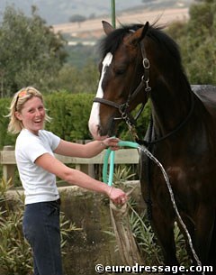 Sarah Hall grooming Uferro at the 2005 Sunshine Tour CDI :: Photo © Astrid Appels
