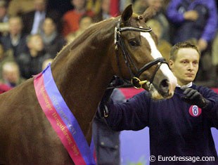 2005 Oldenburg Licensing Champion Kaiser Karl