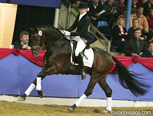 Serano Gold at the 2005 Althengst Parade in Vechta :: Photo © Astrid Appels