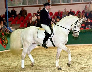 Breeder and owner Hergen Schweers on Inselfurst