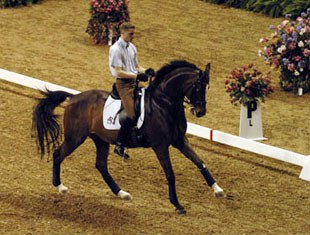 Andreas Helgstrand and Blue Hors Cavan prepare for the 2005 World Cup Finals :: Photo © Roz Neave