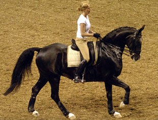 Anky van Grunsven and Salinero