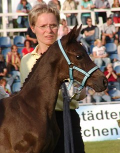 Meike Fischer with Donna Negra (by De Noir x Heraldik xx) :: Photo © Thomas Bach Jensen