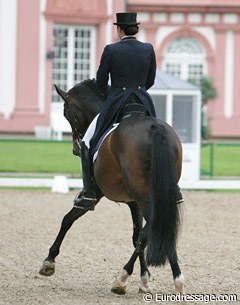 Local heroine Anja Plonzke of Gestut Tannenhof on the Trakehner Solero RBS (by Hyllos)