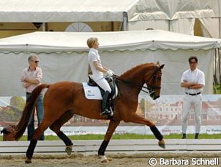 Martin Schaudt helping Nadine Capellmann warm up Elvis VA :: Photo © Barbara Schnell