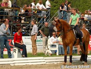 Fabienne Lutkemeier on Bouton training in Bad Salzuflen for next week's Preis der Besten show. Lutkemeier bought Bouton from her aunt Nadine Capellmann who competed the Hanoverian gelding up to Grand Prix level.