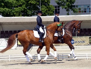 German Young Rider Katharina Birkenholz winning all YR classes in Berne