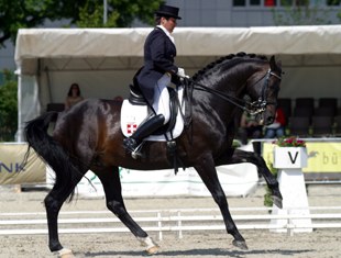 Swiss Francoise Cantamessa aboard Del Vento, a talent Grand Prix horse that was previously competed by Belgian Philippe Jorissen.