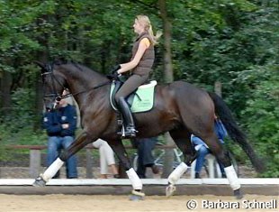Former European Pony Champion Stephanie Jansen and her five-year-old new hope Pretender