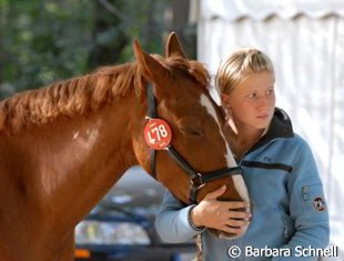 Tired eventers Gemini and Sara Schneemann watch the goings-on in the dressage arena