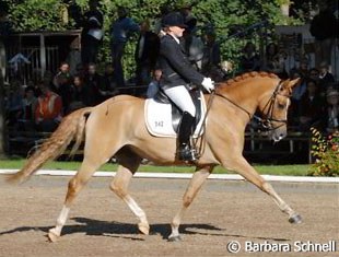 Reserve Champion Der schlaue Fuchs under Michele Schulmerig