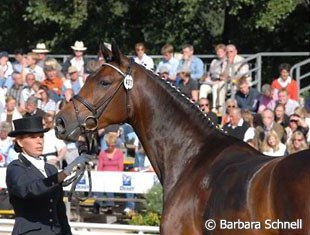 Farina and Peggy Schulz won bronze in the finals for 4-year-old mares & geldings