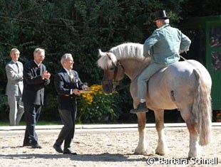 A much favoured show returning each year at the Bundeschampionate