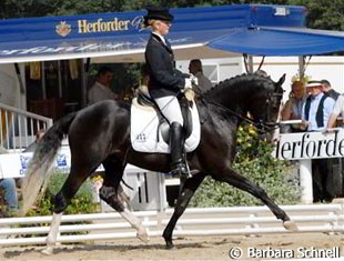 Ghost (by Going Top) and Wibke Stommel placed 3rd in the 3-year old pony stallion class:He's a very nice pony that looked like it had fun working with pleasant gaits