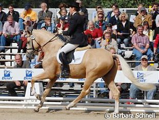 White Gold B (by Golden Dancer) won the 3-year old riding pony class under Eva Maria Tupker