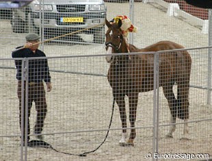 Monty Roberts