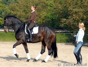 Haydeen Wells-Parmenter aboard La Picolina, training piaffe with Britta Schoeffmann