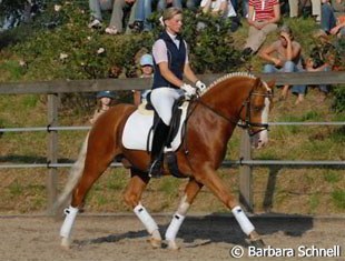 Ann Kathrin Piolot on Der Harlekin B