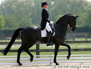 Sophie Baetens and Dark Diamant at the 2006 CDI Hansbeke :: Photo © Astrid Appels