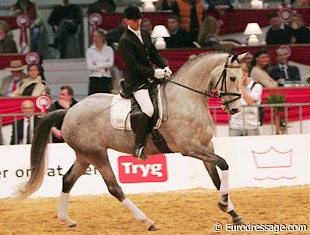 Donna Silver became the price highlight of the 2006 Danish Warmblood Auction :: Photo © Astrid Appels