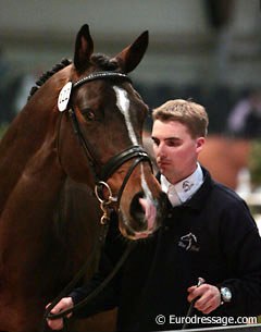 Andreas Helgstrand and Blue Hors Leredo