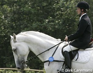 There's a big diversity in bits in the show jumping world