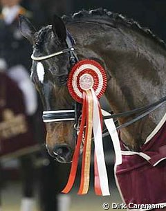 Sunrise Wins a Big Ribbon at the 2006 CDI-W Mechelen :: Photo © Dirk Caremans