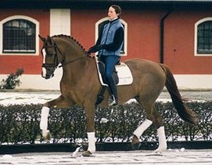 Minna Telde riding Don Charly at home at Tullstorp Stables