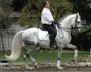 Joao Oliveira
