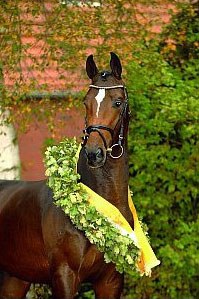 Lauda (by Lauries Crusador xx x Raphael)