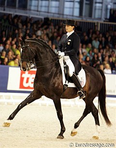 Leslie Morse on the Swedish warmblood stallion Tip Top (by Master)