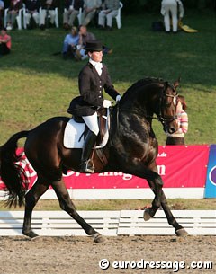 Rosevelt at the 2006 Hanoverian Championship in Verden :: Photo © Astrid Appels