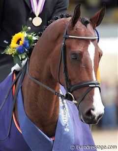 2006 World Young Horse Champion Uzzo (by Lancet) :: Photo © Astrid Appels