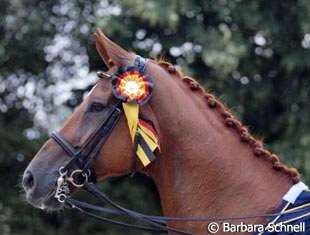 Warum Nicht with the highly coveted Aachen ribbon