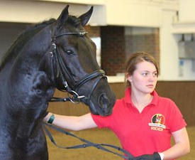 Manon Hoet and her pony Top Chablis