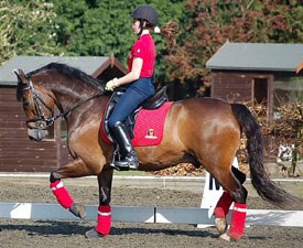 Julie van Olst on Haasendonck's Sultan