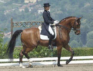 Maté Garai on the Hanoverian gelding Romero (by Ritual)