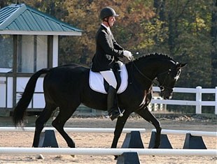 13th: Amadeus (Argosy x Rajamon) - owned by Paula Brito, Riverton, UT