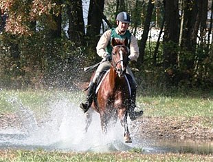 12th: Bravo (by Bugatti Hilltop x Gauguin de Lully) - owned by Chris E. Misita, Cloverdale, CA