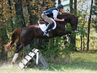 Third place: Rapture R (Rotspon x Donnerhall), bred and owned by Ken and Roberta Falk of Lexington, VA