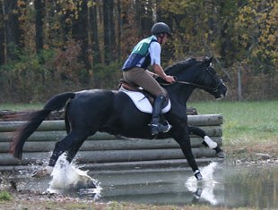 Seventh: Richmond H.L, a 2004 Rotspon x Davignon stallion owned and bred by Lucile Mulky, Chapel Hill, NC