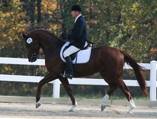 Second place: Hanoverian stallion Worthy Opponent (Waikiki x Hohenstein) - owned by Dana Estes of Livermore, CA