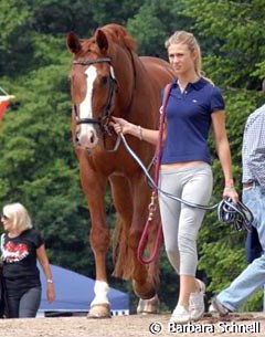 Talking the horse out for a walk