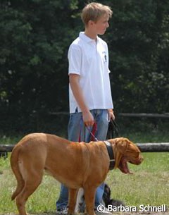 Sönke Rothenberger walking his big Bordeaux dog